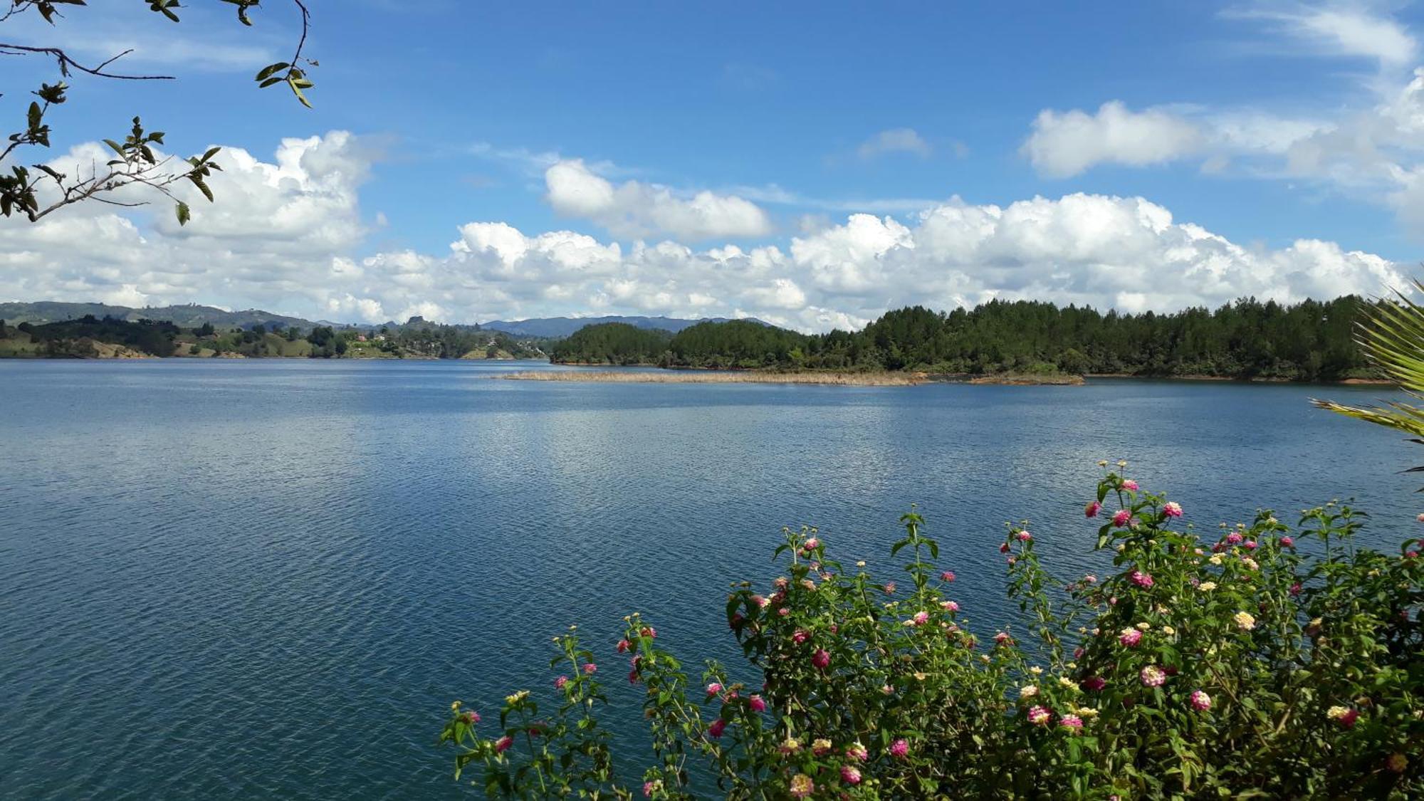 El Trebol Guest House Guatape Ngoại thất bức ảnh